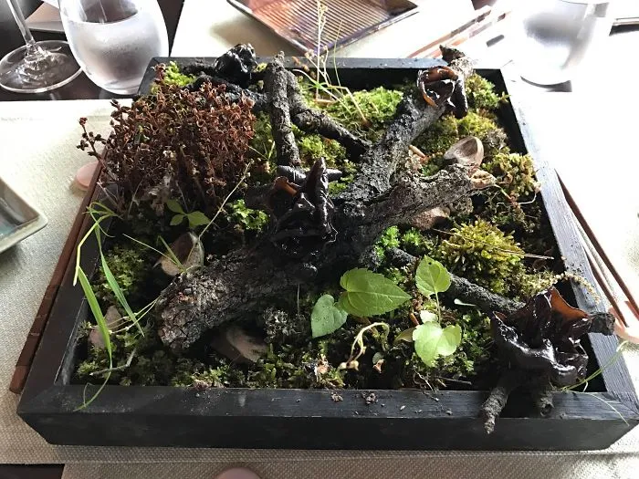 Setas servidas en un minijardín