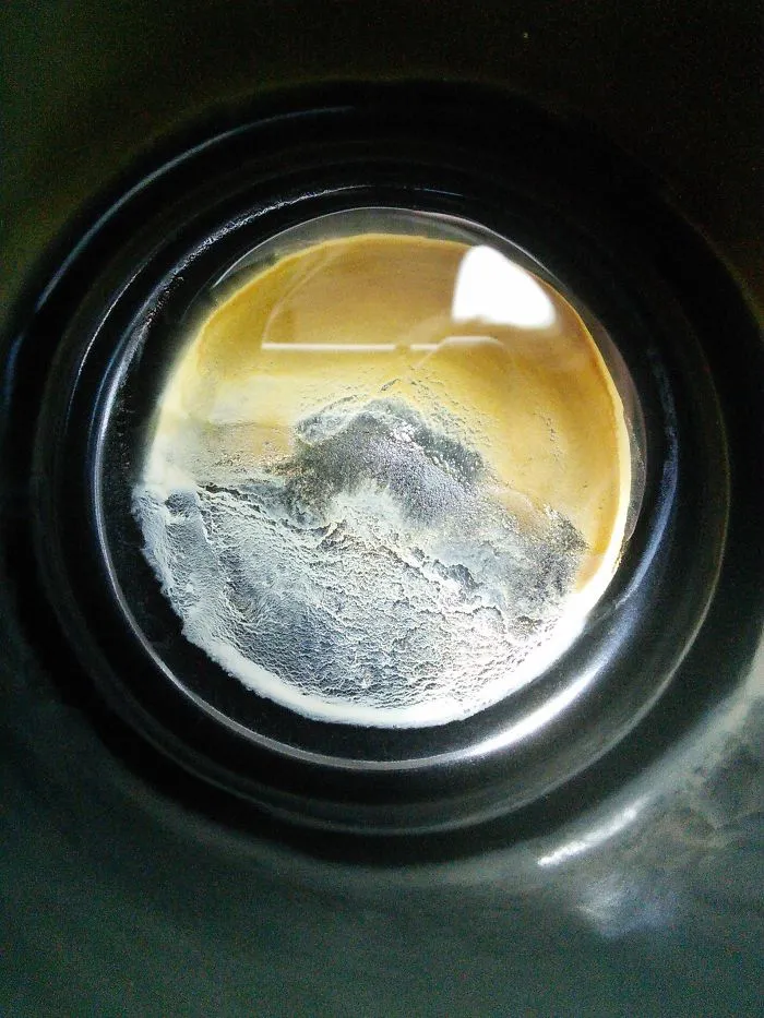 The Creamer Left Some Mildly Interesting Art At The Bottom Of My Mug