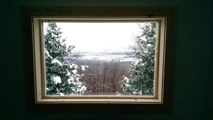 This Window Looks Like A Painting