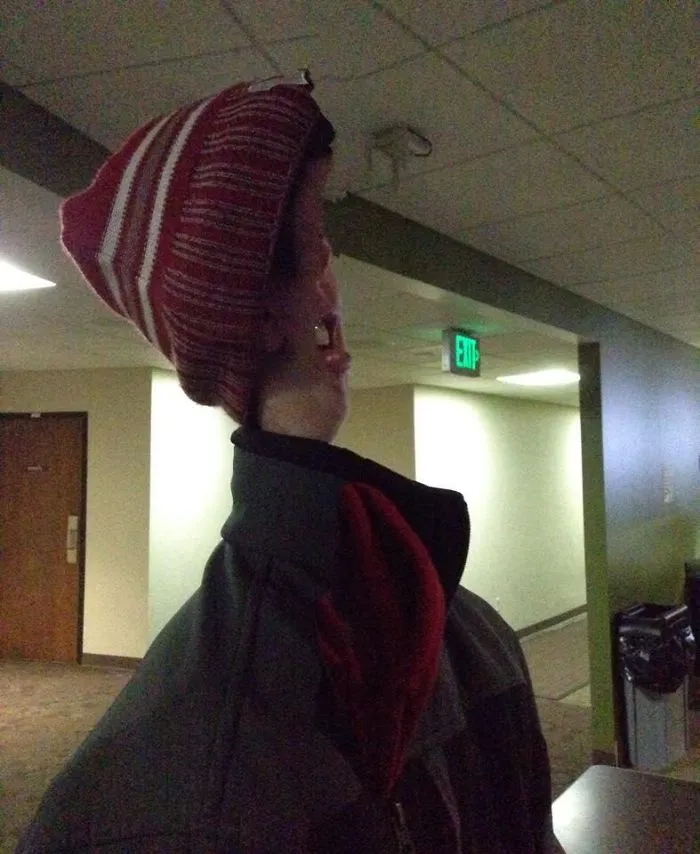 Panorama Face