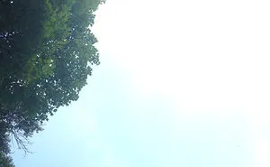 265 Times People Tried To Make A Panorama And Ended Up Opening The Gates Of Hell