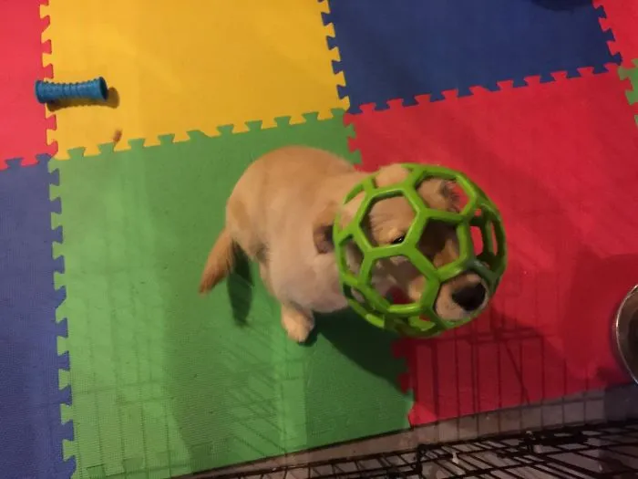 Humano, sácame esto