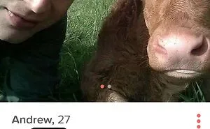 150 Examples of the Funniest Tinder Profiles That Will Make You Look Twice
