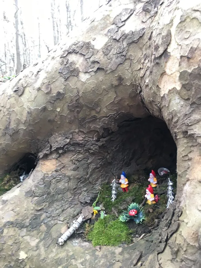 Alguien puso gnomos en los árboles del parque