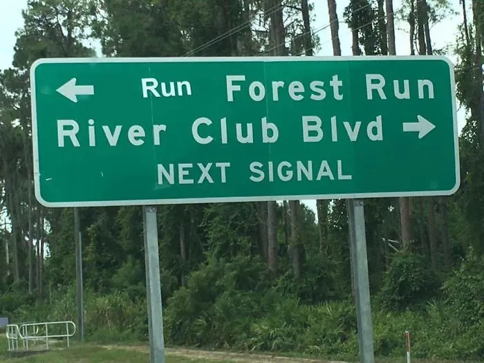 Run Forest Run