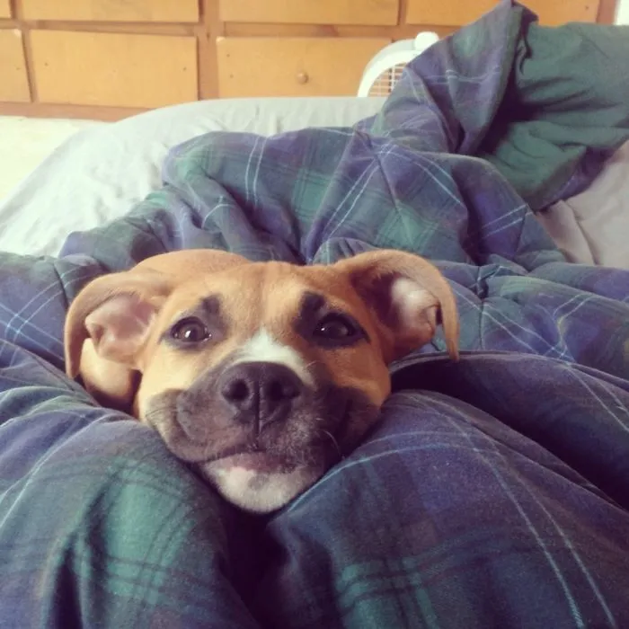 How Would You Feel If You Woke Up To This Face