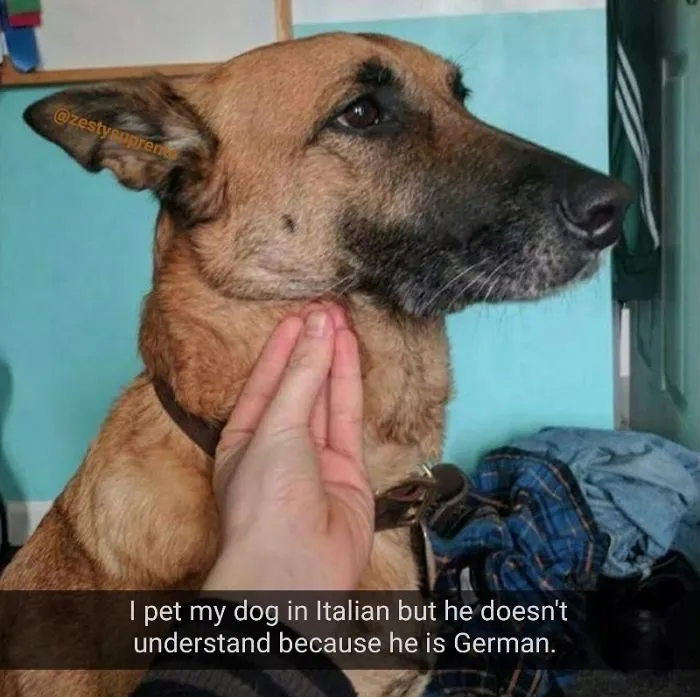 Language Barrier