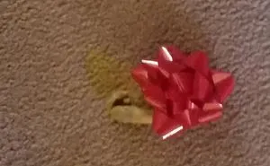50 Of The Funniest I Woke Up To This" Moments That Have Ever Happened To Pet Owners"