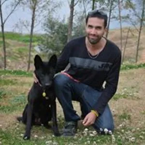 Bruno Maiorana