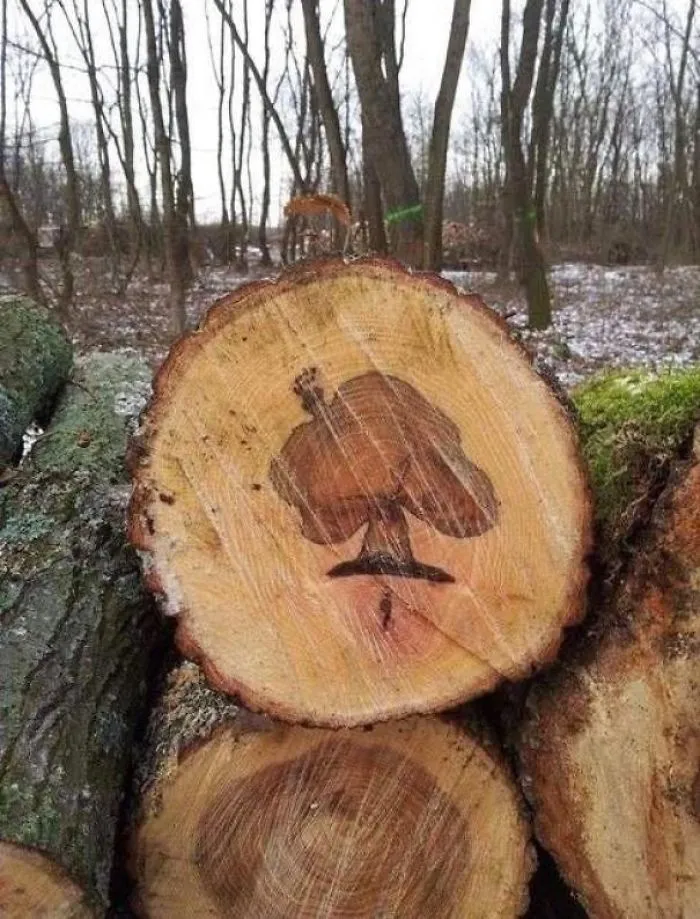Árbol dentro de un árbol