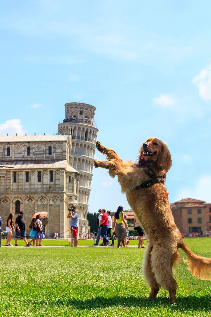Quien dijera que es aburrido posar con la torre inclinada de Pisa no ha visto estas divertidas fotos