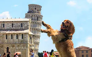 Whoever Said That Posing With The Leaning Tower Of Pisa Was Boring Clearly Hasn't Seen These 46 Funny Pics