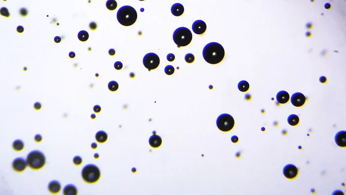 Italian Artist Create Micro-Painting With Microscope And Dslr Camera.