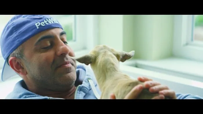 Homeless Man Saved By Dog Will Inspire You