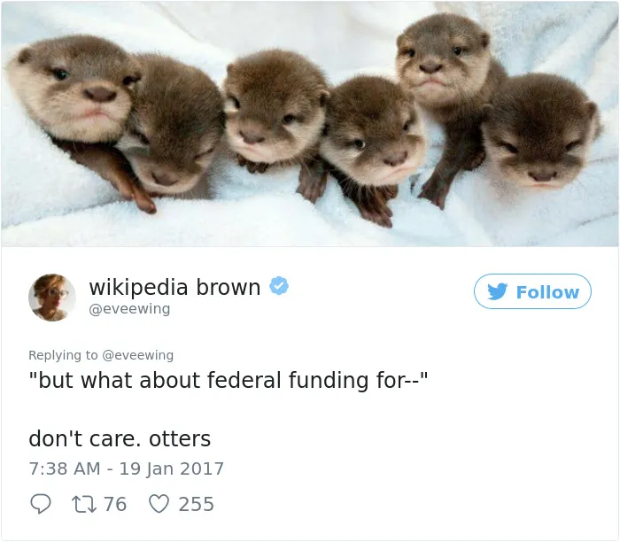 231 Times Women Won The Internet With Their Hilarious Tweets In 2017