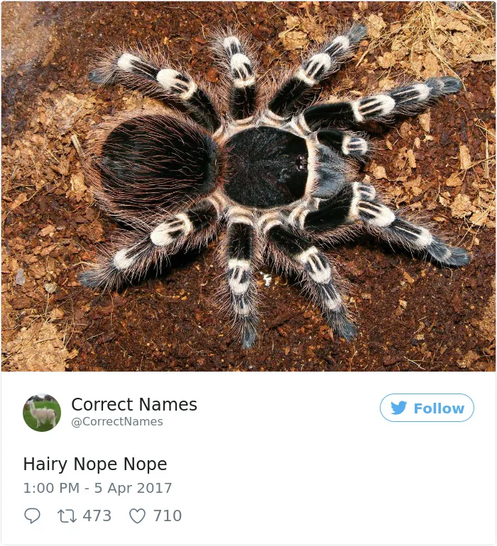This Twitter Account Is Renaming Everyday Objects And They're More Accurate Than The Real Ones