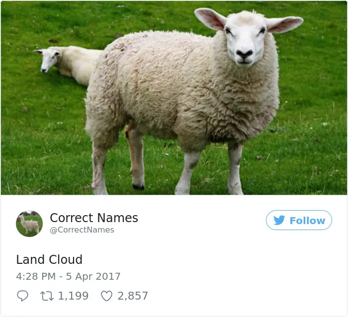This Twitter Account Is Renaming Everyday Objects And They're More Accurate Than The Real Ones