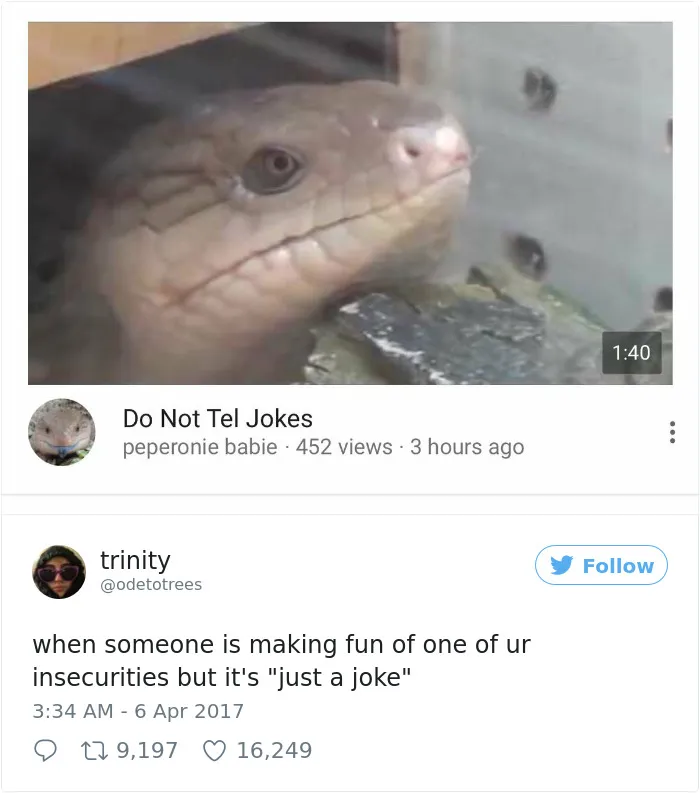 231 Times Women Won The Internet With Their Hilarious Tweets In 2017