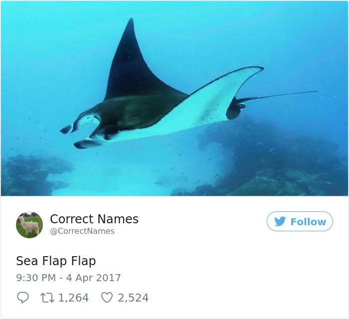 This Twitter Account Is Renaming Everyday Objects And They're More Accurate Than The Real Ones