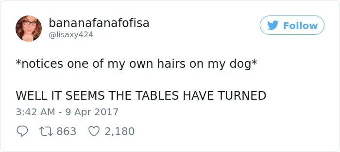 231 Times Women Won The Internet With Their Hilarious Tweets In 2017