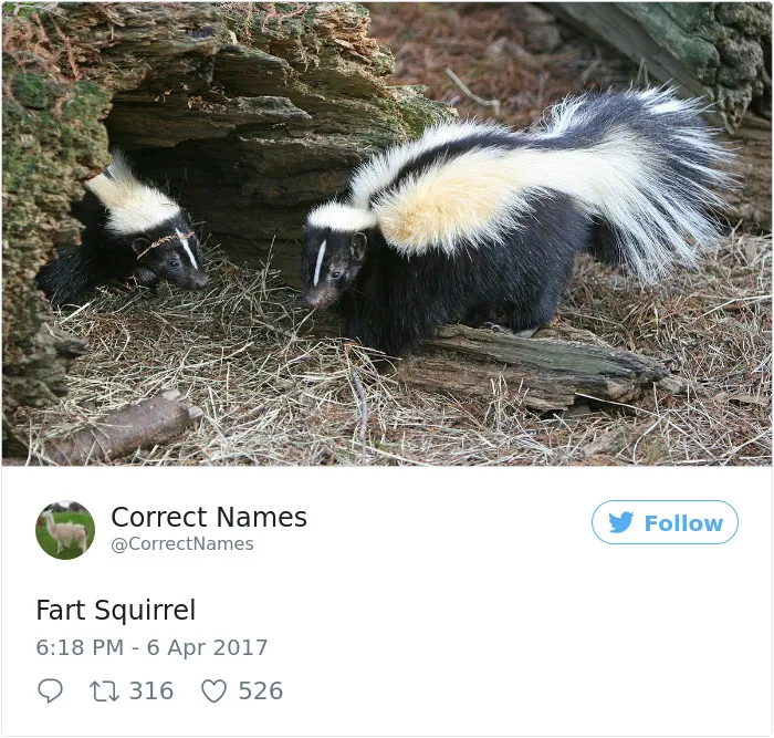 This Twitter Account Is Renaming Everyday Objects And They're More Accurate Than The Real Ones