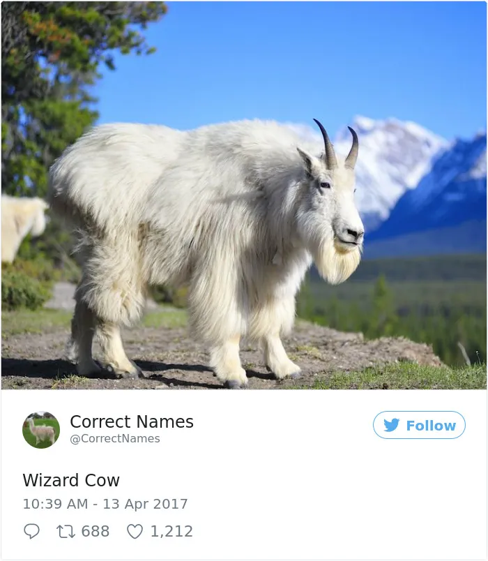 Correct Name