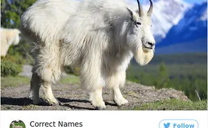 This Twitter Account Is Renaming Everyday Objects And They're More Accurate Than The Real Ones