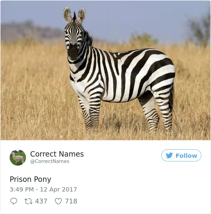 Correct Name