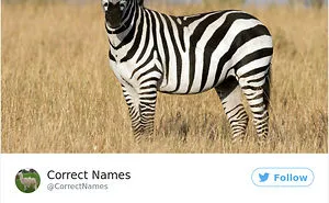 This Twitter Account Is Renaming Everyday Objects And They're More Accurate Than The Real Ones