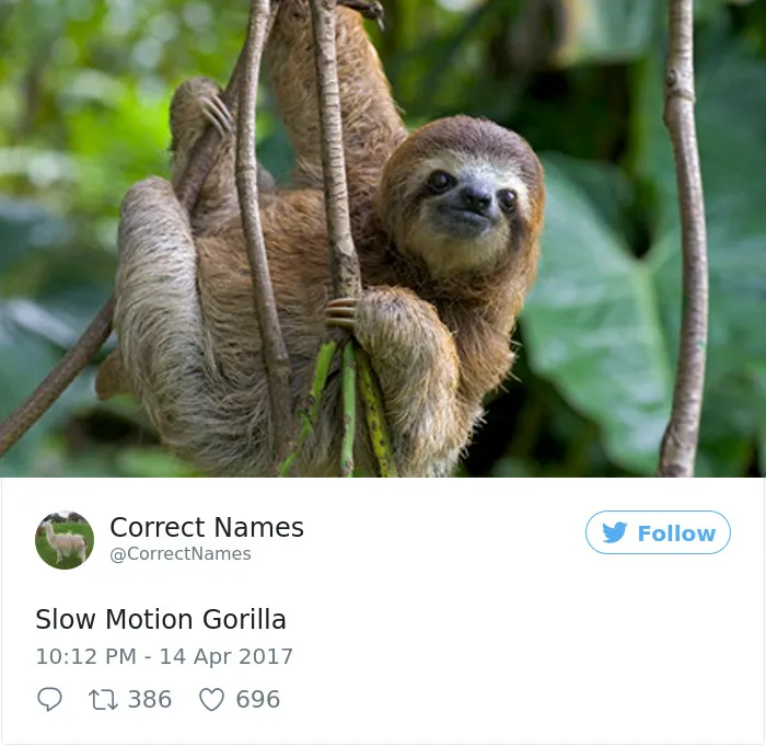 This Twitter Account Is Renaming Everyday Objects And They're More Accurate Than The Real Ones