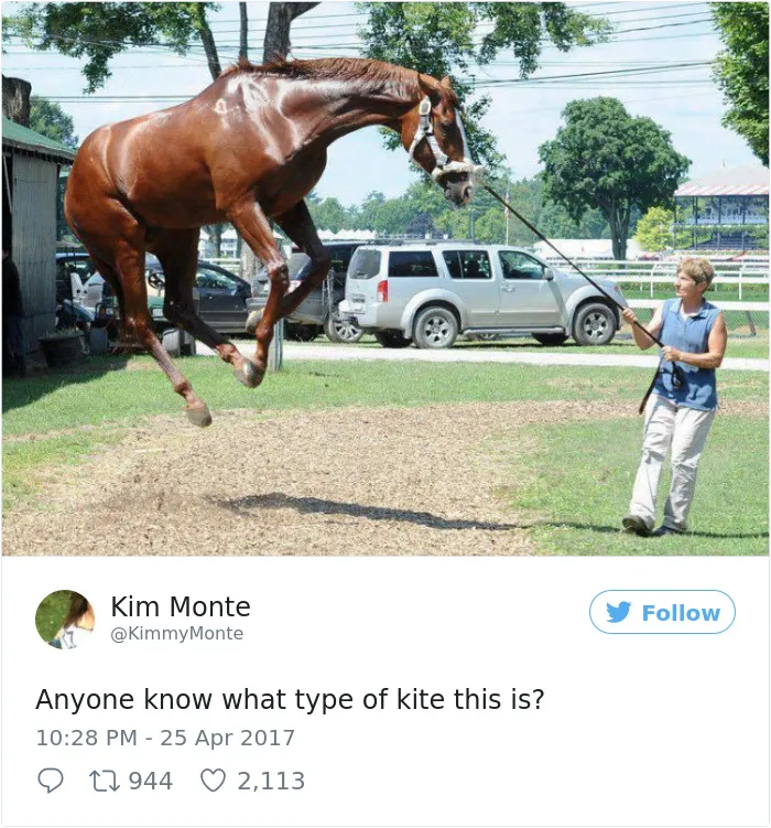 231 Times Women Won The Internet With Their Hilarious Tweets In 2017