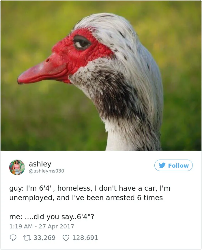 231 Times Women Won The Internet With Their Hilarious Tweets In 2017