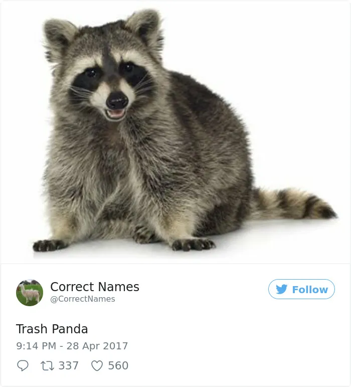 This Twitter Account Is Renaming Everyday Objects And They're More Accurate Than The Real Ones