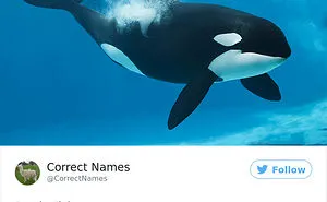 This Twitter Account Is Renaming Everyday Objects And They're More Accurate Than The Real Ones