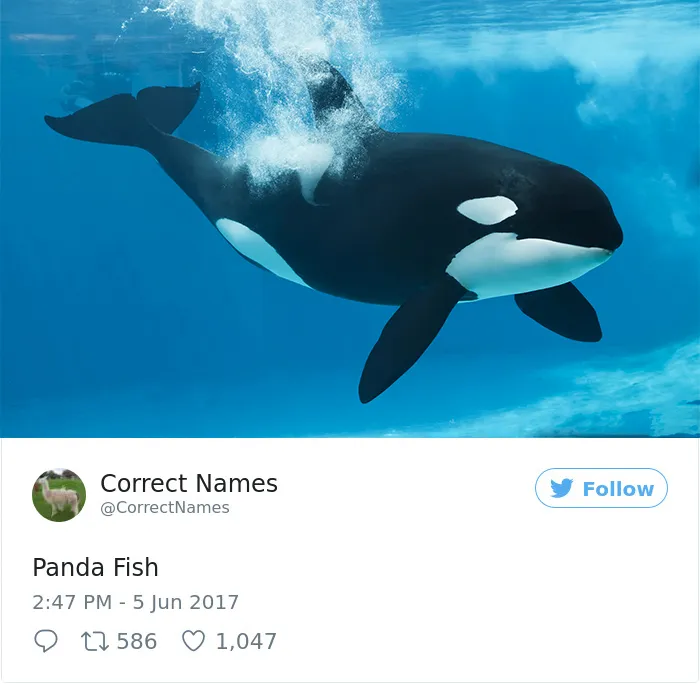 Correct Name