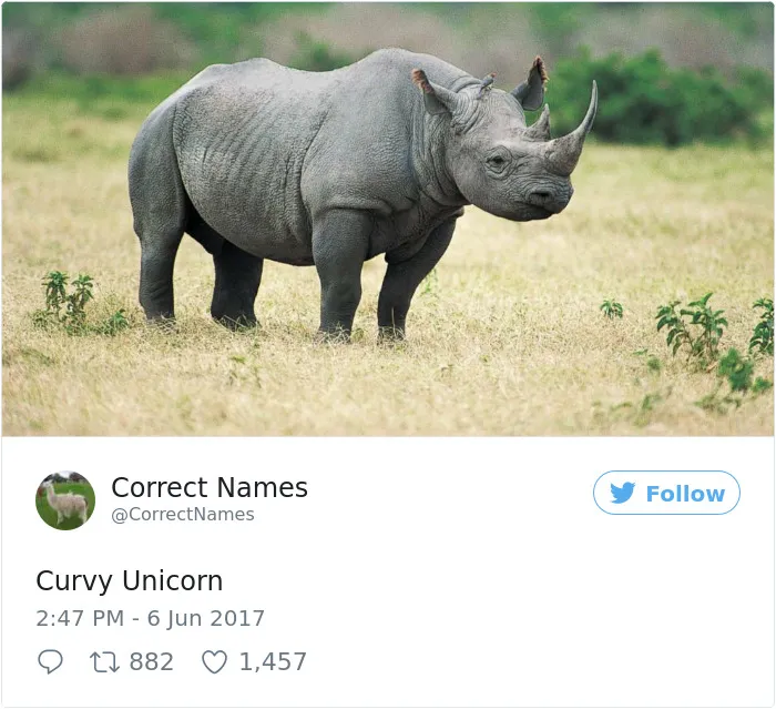 Correct Name