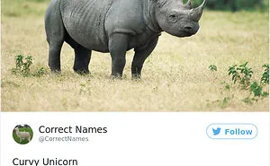 This Twitter Account Is Renaming Everyday Objects And They're More Accurate Than The Real Ones