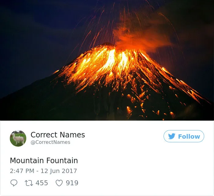 This Twitter Account Is Renaming Everyday Objects And They're More Accurate Than The Real Ones