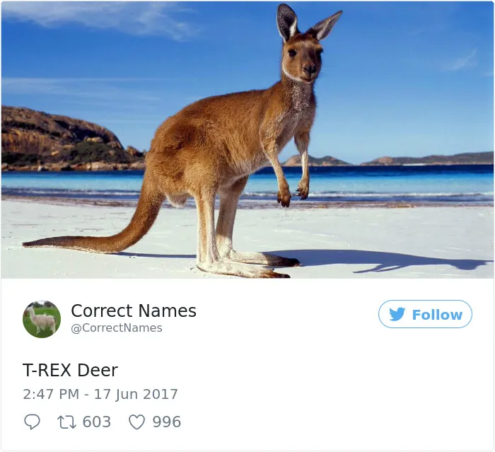 This Twitter Account Is Renaming Everyday Objects And They're More Accurate Than The Real Ones