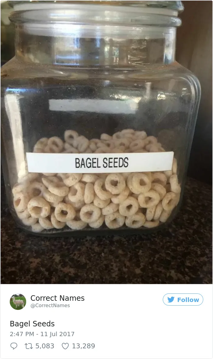 This Twitter Account Is Renaming Everyday Objects And They're More Accurate Than The Real Ones