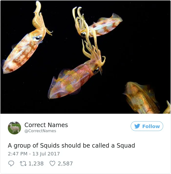 This Twitter Account Is Renaming Everyday Objects And They're More Accurate Than The Real Ones
