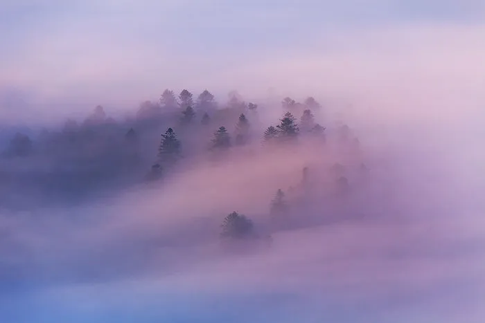 I Captured The Beauty Of The Border Between Poland And Slovakia
