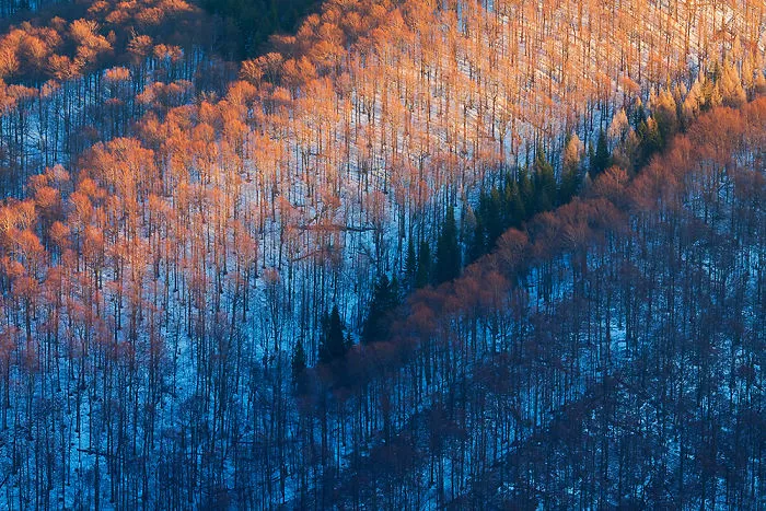 I Captured The Beauty Of The Border Between Poland And Slovakia
