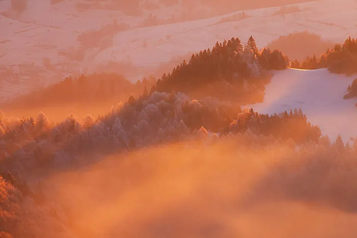 I Captured The Beauty Of The Border Between Poland And Slovakia