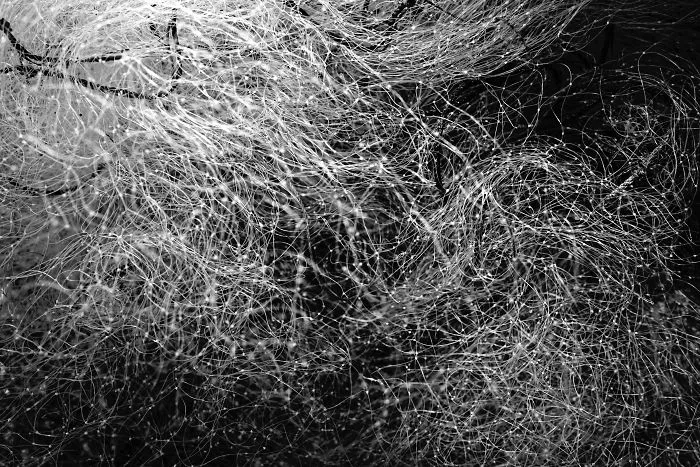 Nets  Like Infinite Thoughts .