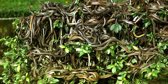 Top 10 Most Dangerous Places You Don't Want To Visit