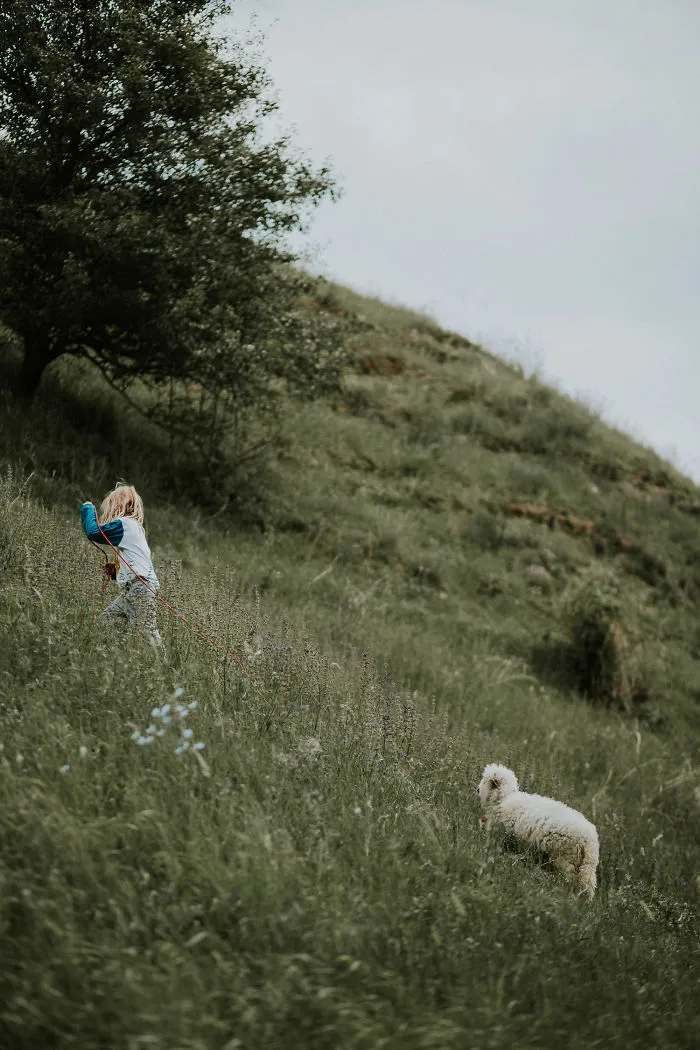 Young Romanian Family Living Beautifully In The Countryside