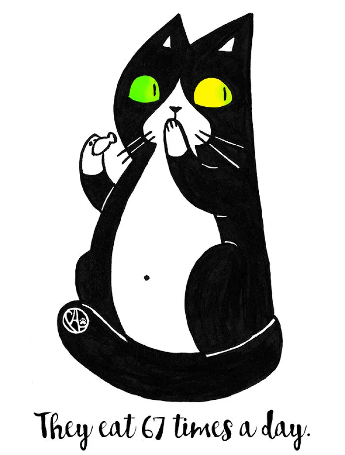 My Girlfriend Illustrates Our Life With 3 Cats And A Dog