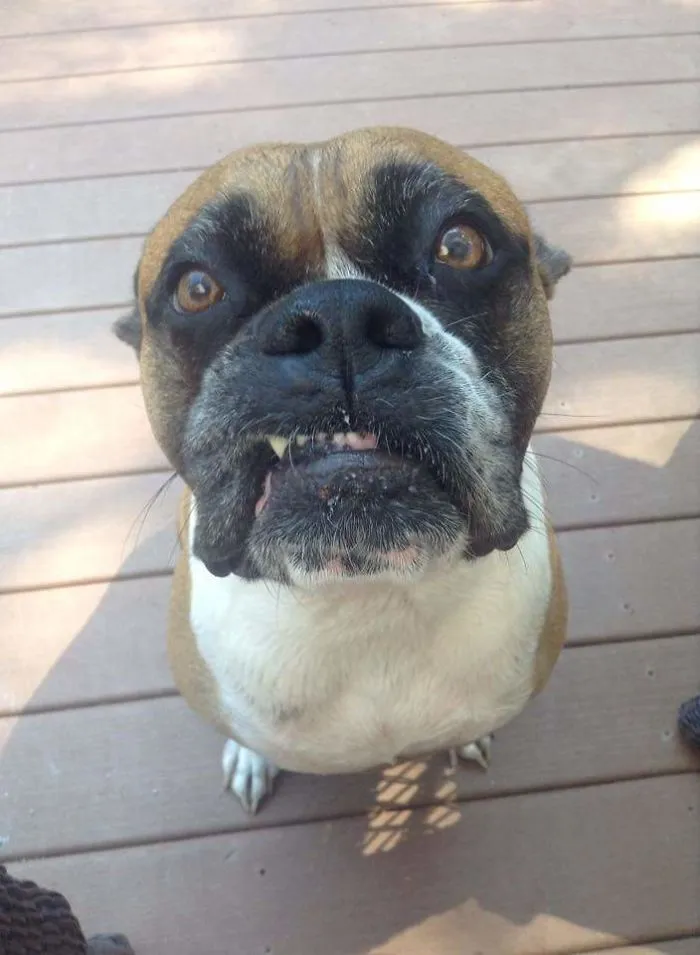 Macy May.