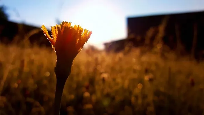 I Wanted To Show Beauty In Poland Using Smartphone